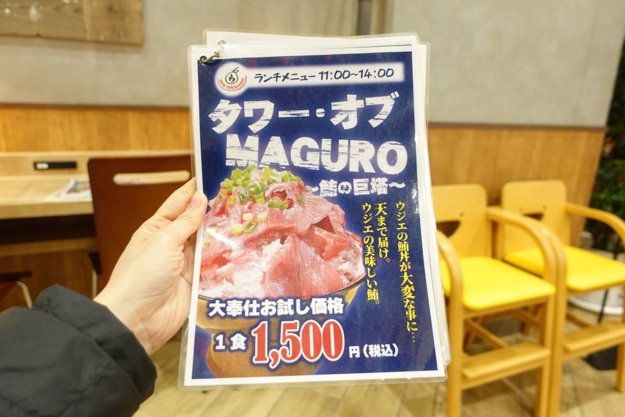 DSC09411.jpeg