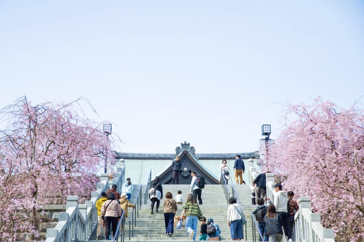 え、今週末が満開！？急いで（泣）【法多山】約200本の「桜の回廊」が圧巻♡「春限定ピンク御朱印」「名物厄除けだんご」徹底ガイド