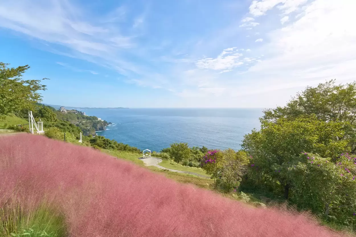 熱海の映えスポットで妖精に会える?!【アカオフォレスト】絶景&限定スイーツで秋満喫フルコース「素敵すぎて一生いられる…」