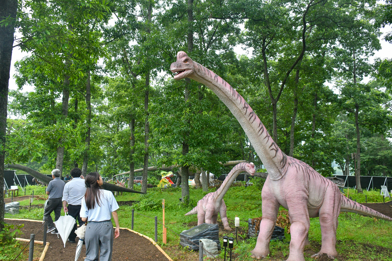 【みちのく公園】え、恐竜が本当に吠えてる！？東北初上陸のダイナソーツアーが川崎町に爆誕