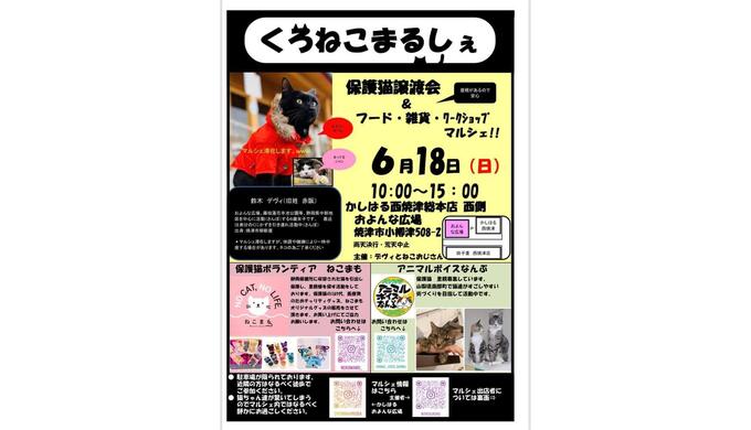 くろねこまるしぇ①.jpg
