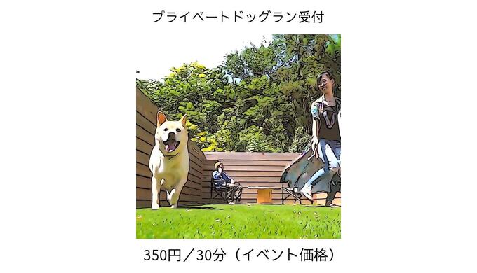 ドッグラン.jpg