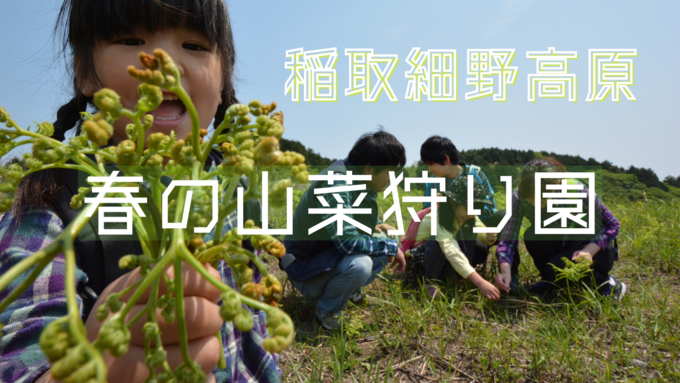 採り放題って最高じゃん！【春の山菜狩り】「GWのお出かけはココで決まり」自然を感じられる限定イベント