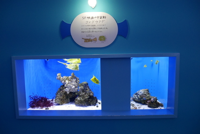 680x_29d756cb-9f6e-44ad-bb4a-807f02f5ad53.jfif