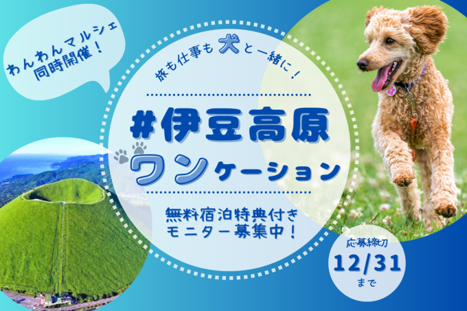 無料宿泊付きです！【伊豆高原】「ワンちゃんと共に旅も仕事も学習も楽しめる♪」伊豆高原ワンケーションのモニター募集開始！