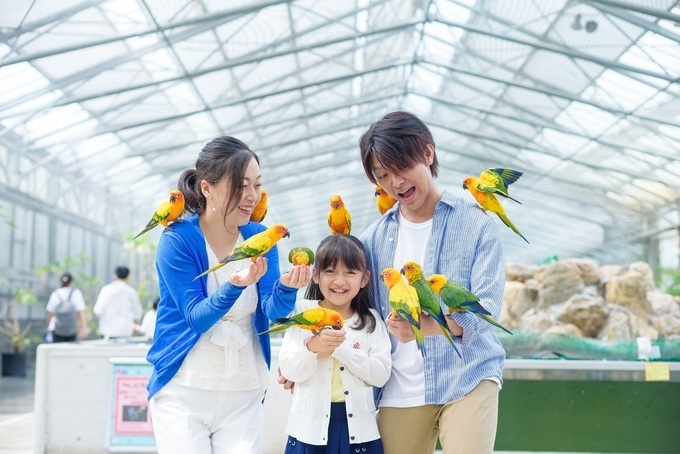 掛川花鳥園.jpg
