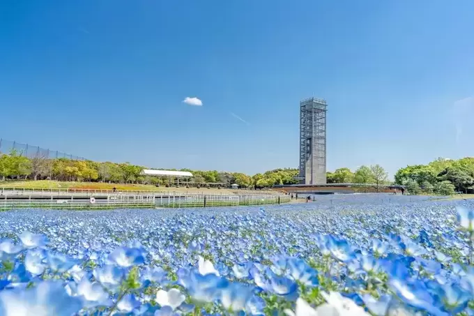 250330_hamanako2.webp