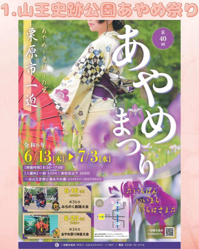 1山王史跡公園あやめまつり.jpg