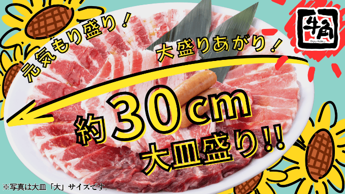 main.png