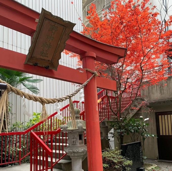 野中神社.jpg