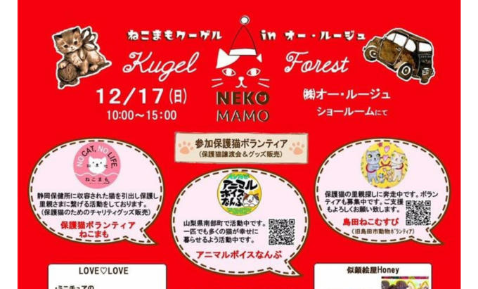 【静岡市駿河区】12月17日（日）保護猫との出会いをマルシェで応援できる【ねこまもクーゲルフォレスト】