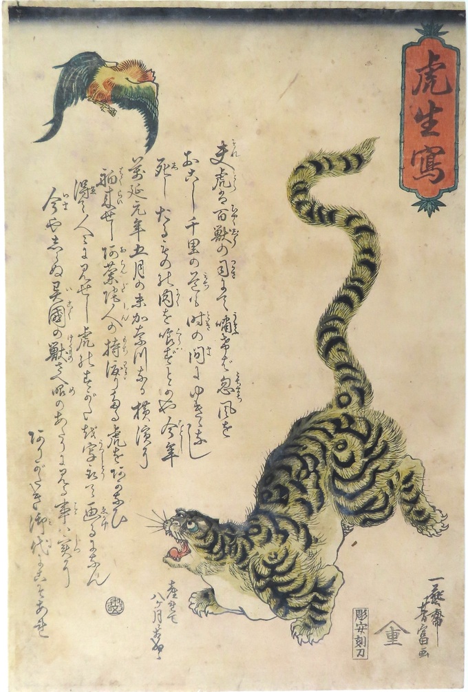2_Leopard.JPG