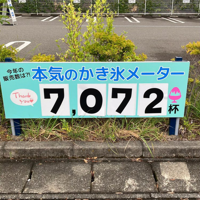 image1 (1).jpeg
