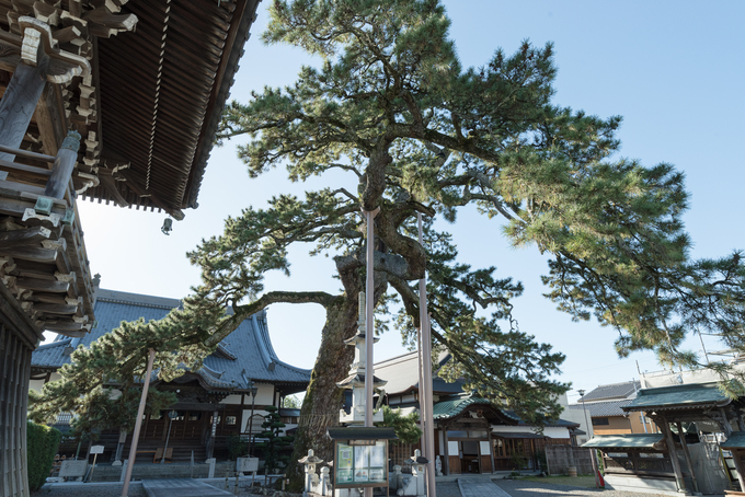 大慶寺_06.jpg
