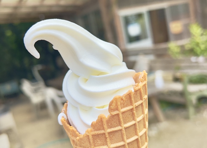 【浜松市】自然の中で食べる濃厚ソフトクリームは格別!動物とも触れ合える『大橋牧場』