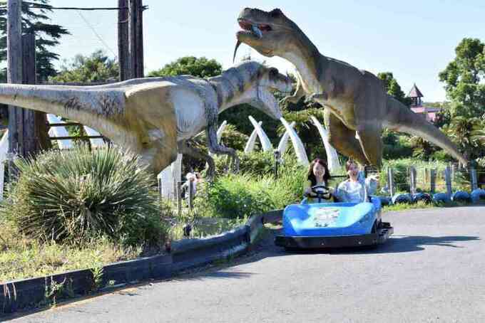 伊豆ぐらんぱる公園ゴーカート.jpg