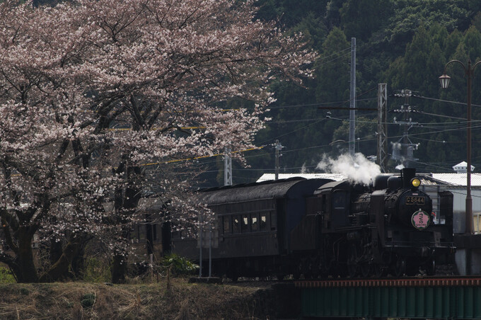 家山駅付近のSL列車.JPG