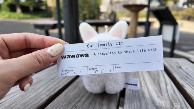 にゃんこ_猫ぬいぐるみ白カード.png