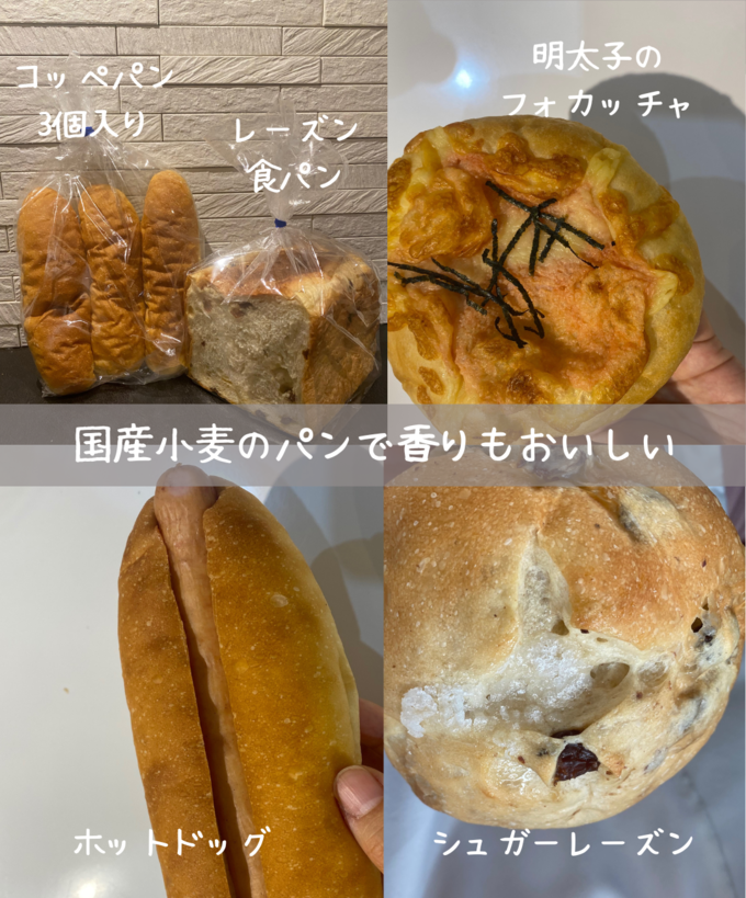 76CA941B-E4B8-4FC2-A532-661CB8AC38DB.PNG