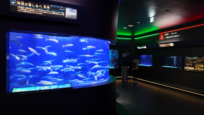 下田海中水族館_魚の展示.png