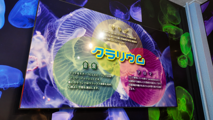 下田海中水族館_クラゲの展示2.png