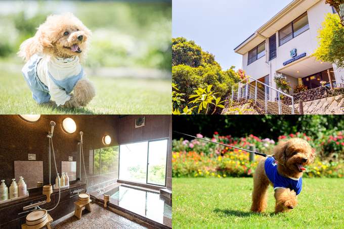愛犬家は見逃せない！【伊東市】「全室オーシャンビューで贅沢時間を過ごそう」リブマックスリゾート伊豆高原が再オープン！
