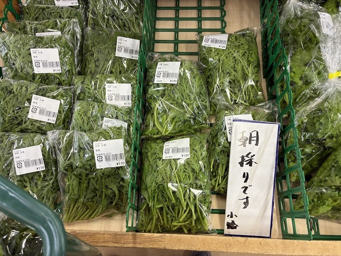 たなばたけ朝採り.jpg