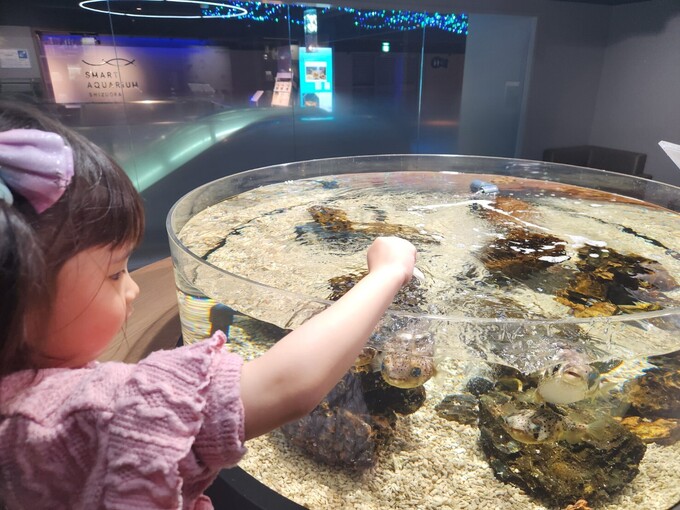 リニューアルしてパワーアップ！【静岡市葵区】「これは子どもが帰らせてくれないわ…」大人気の餌やり体験