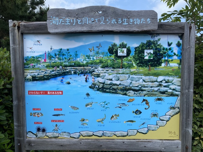 IMG_8209のコピー.jpg
