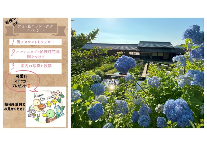 超レア【加茂荘花鳥園】でしかゲットできない！「必ずもらえます♪」親子で一日遊んで気分をリフレッシュしよう！