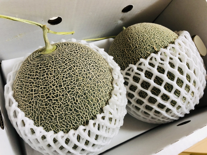 【ふるさと納税】今が一番お得！？面白いほどポイントが貯まる【最後の超得セール】メロン！うなぎ！鮪かっさらい！返礼品ランキング