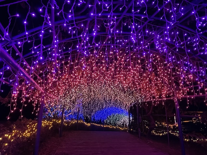 20231123 イルミ (3).jpeg