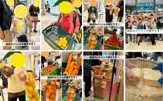 img_442292_2.png