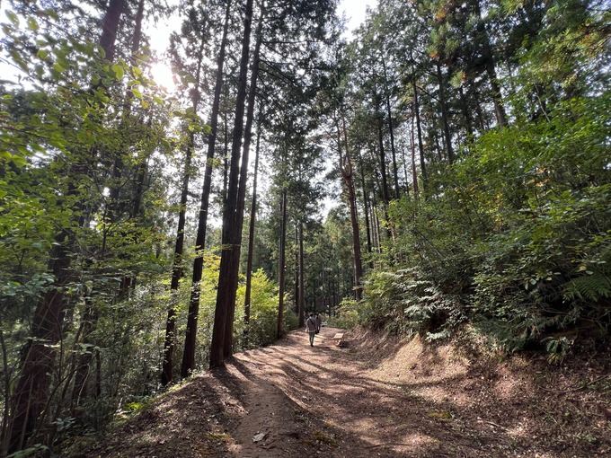 大亀山 アスレチック内歩道３.jpg