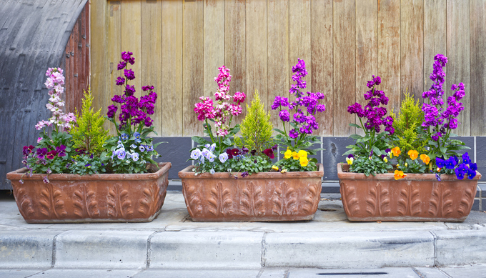 iStock-2204323105.jpg