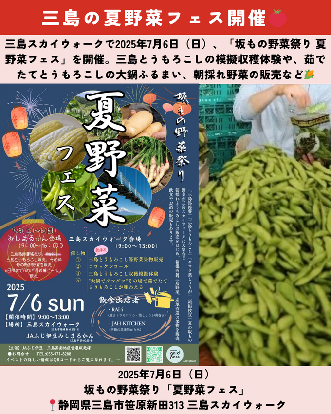 0622静岡ニュース (8).png