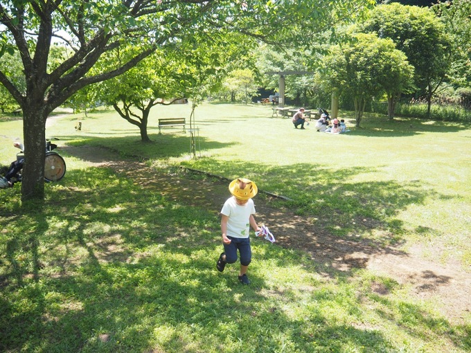 5. 芝生広場.jpeg
