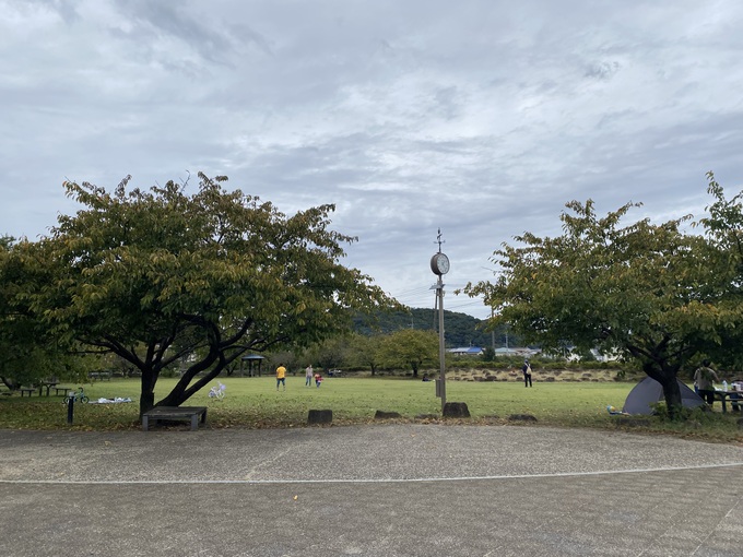 IMG_5950.jpeg