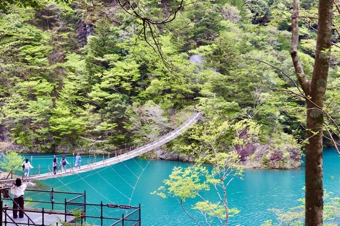 夢の吊り橋.jpg