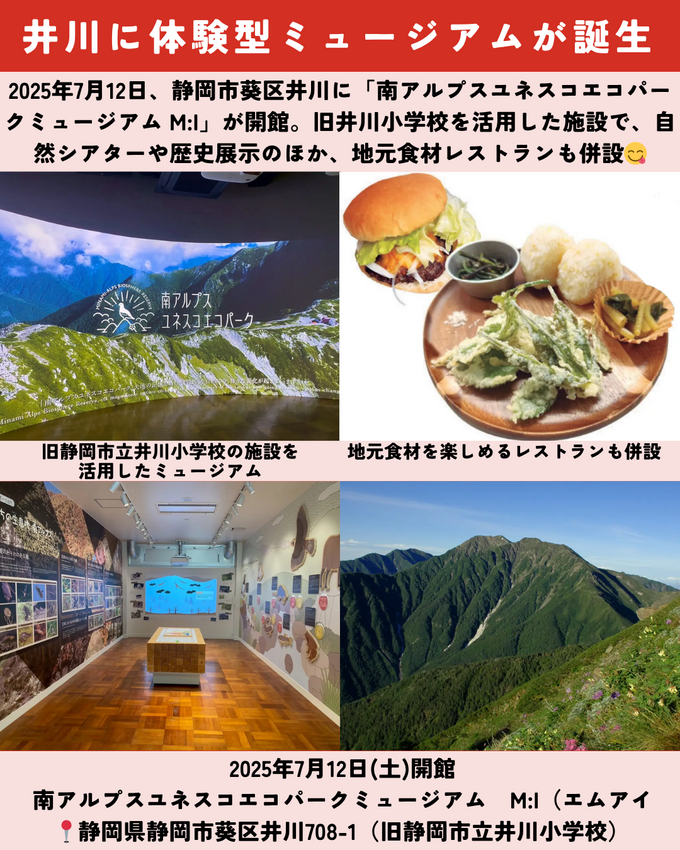 0712静岡ニュース (3).png
