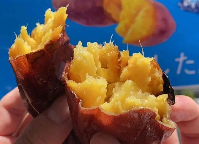えっ、予約1年待ちの焼き芋も！？29万人が熱狂する【芋フェス】がやってくる！「もうお芋のことしか考えられない」「行って損なし」