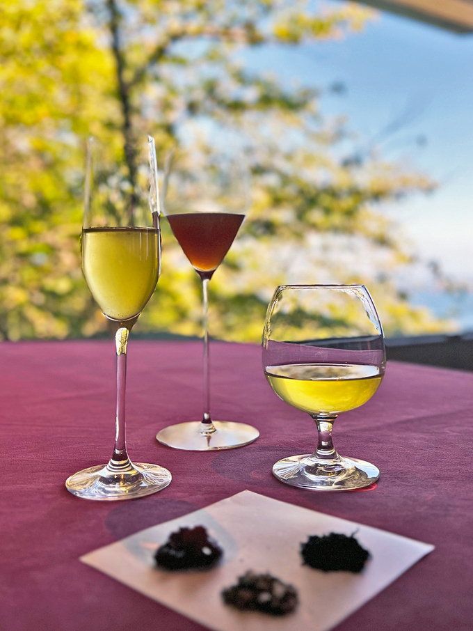 気分はフランス旅行！？【東伊豆町】「フレンチ懐石と静岡茶のペアリングディナーって最高♪」