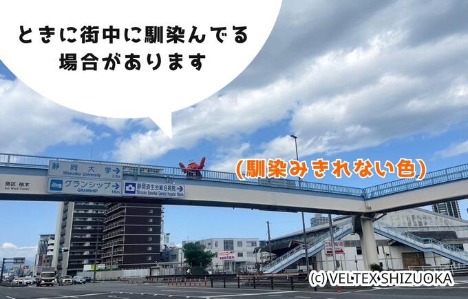 【静岡名物AI星占いwith ベルティ】 2024年5月22日あなたの運勢は？ベルティと一緒に見てみよう