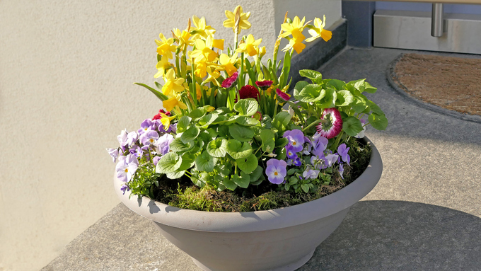 iStock-1309379716.jpg