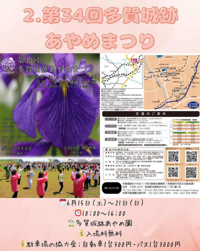 2多賀城跡あやめまつり.jpg