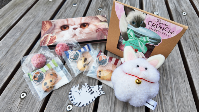 【2月24日まで】今しか買えない猫アイテムが静岡PARCOに集結〜！静岡で猫活ができる貴重なイベント【にゃんこもふもふティーパーティ】