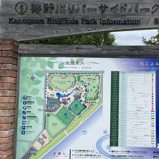 IMG_5952.jpeg