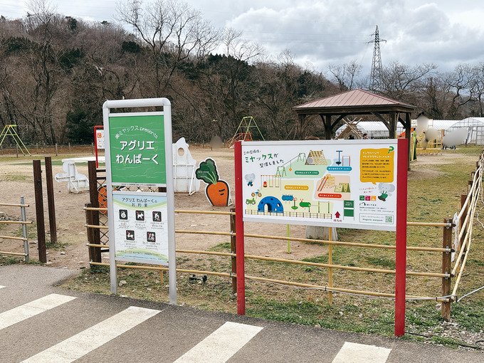 5afe28d5-10bd-4e14-9ffa-d26fbfd1a669.jpg