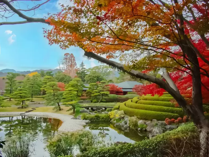 世界的デザイナー演出はダテじゃない！【駿府城公園】正直ナメてた…！「秋限定ライトアップ」が幻想的すぎて震える