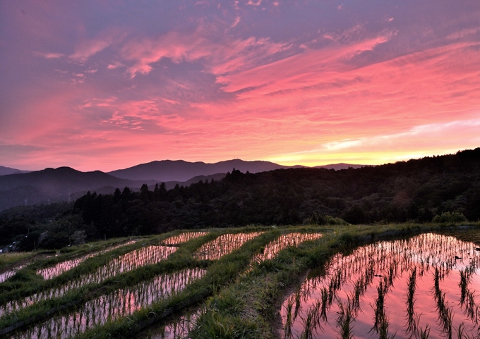 【一般部門グランプリ】小栗 進_マジックアワー絶景棚田.JPG